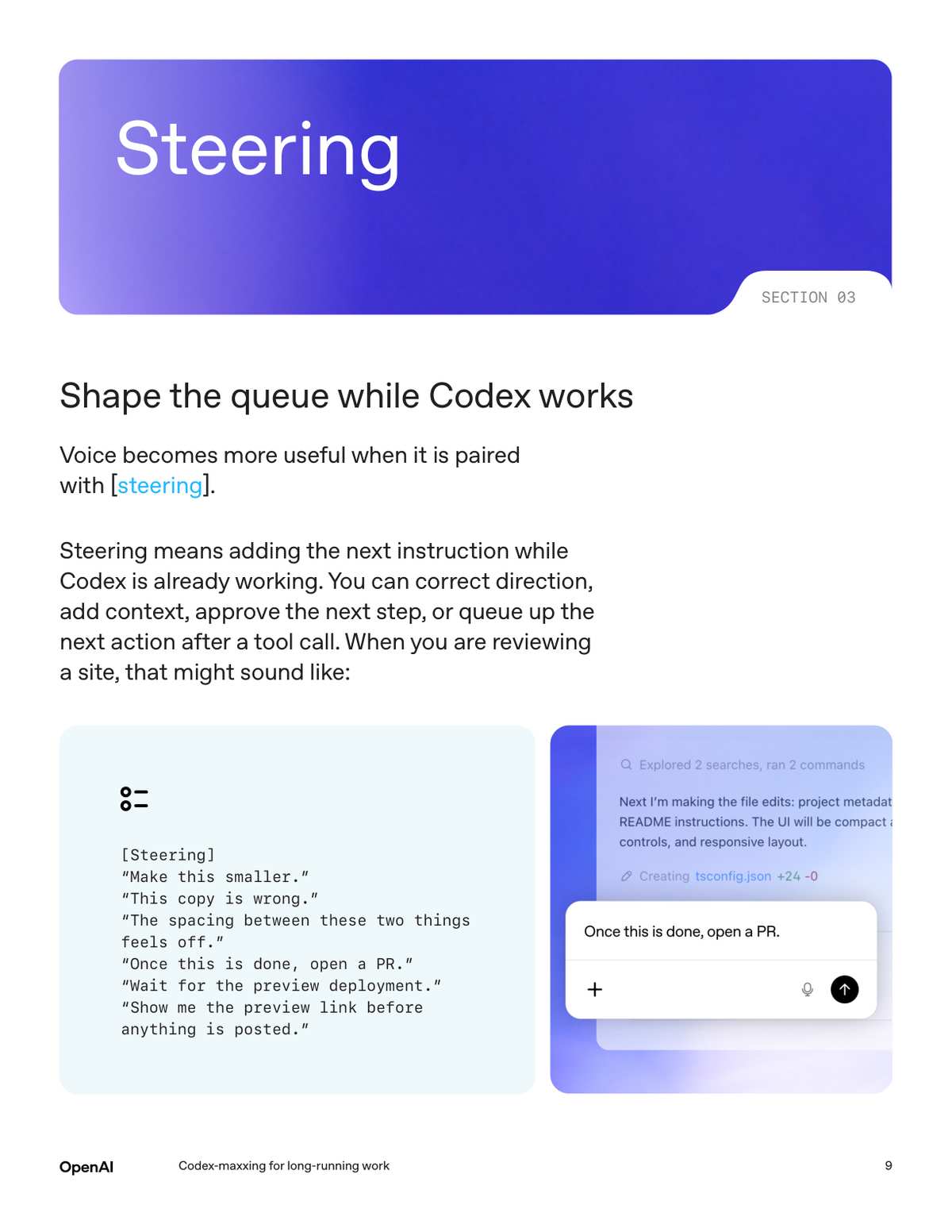 Steering 示例